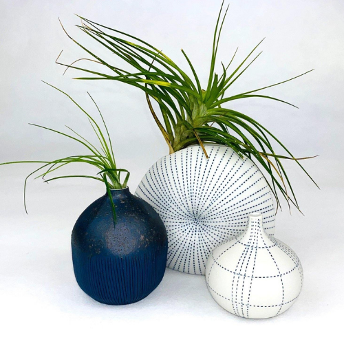 Small Vases - Connie Dimas