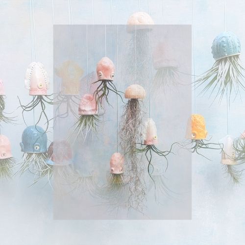 handmade ceramic planter airplants