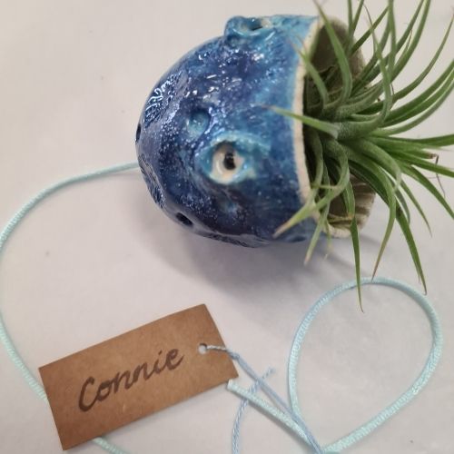 handmade ceramic planter airplants blue