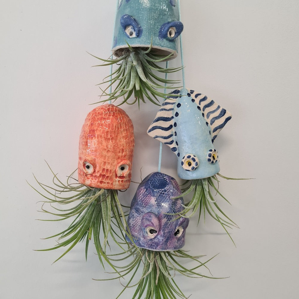 Airplant - Connie Dimas Jewellery