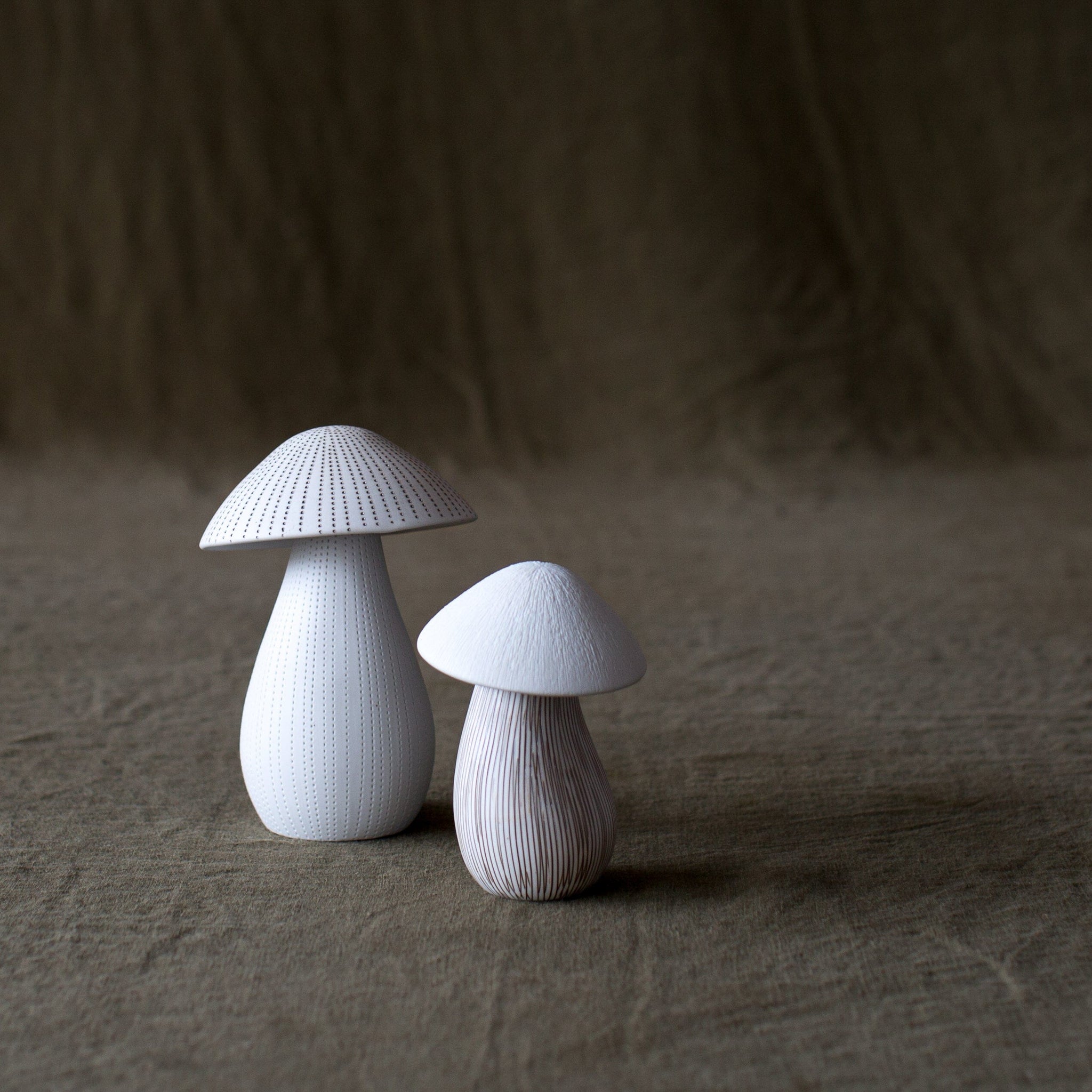 Mushrooms - Connie Dimas